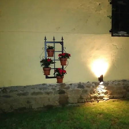 Tono El Alguacil Selaya