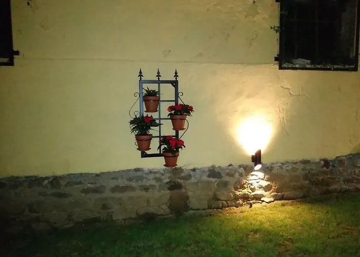 Tono El Alguacil Selaya